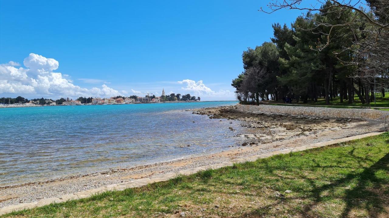 Apartments Kivi Novigrad Istria Eksteriør bilde