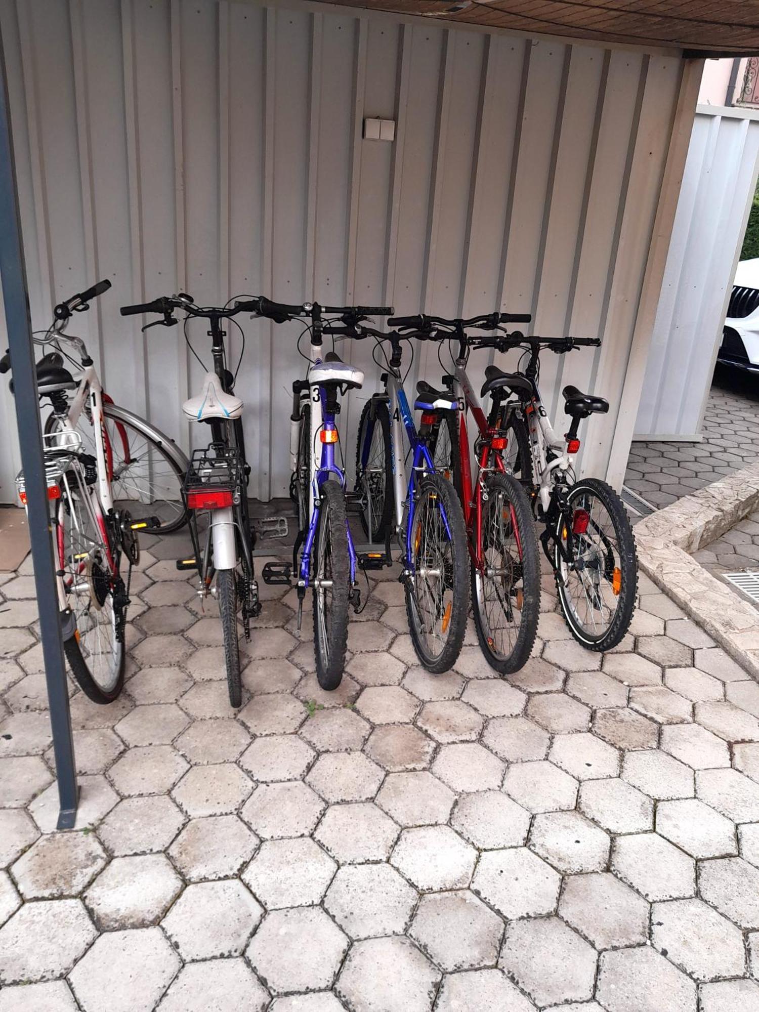Apartments Kivi Novigrad Istria Eksteriør bilde