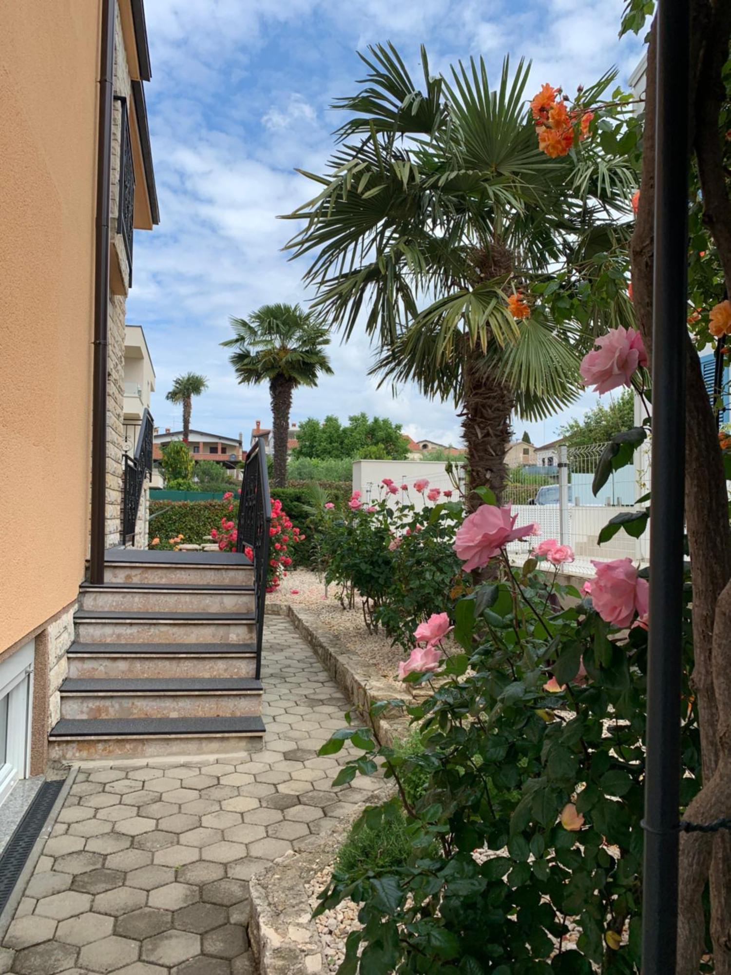 Apartments Kivi Novigrad Istria Eksteriør bilde