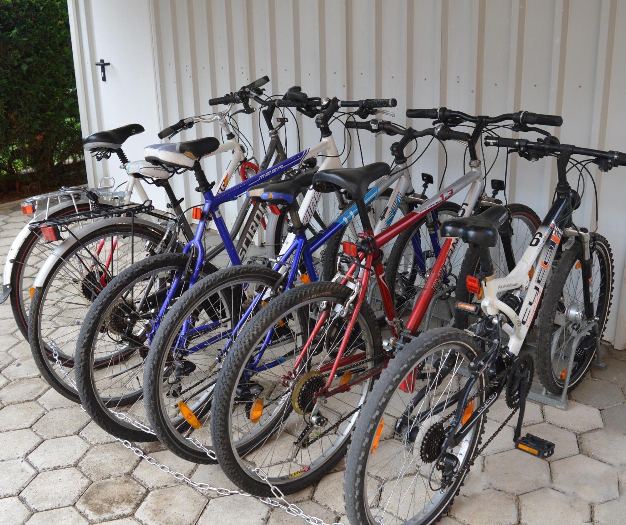 Apartments Kivi Novigrad Istria Eksteriør bilde