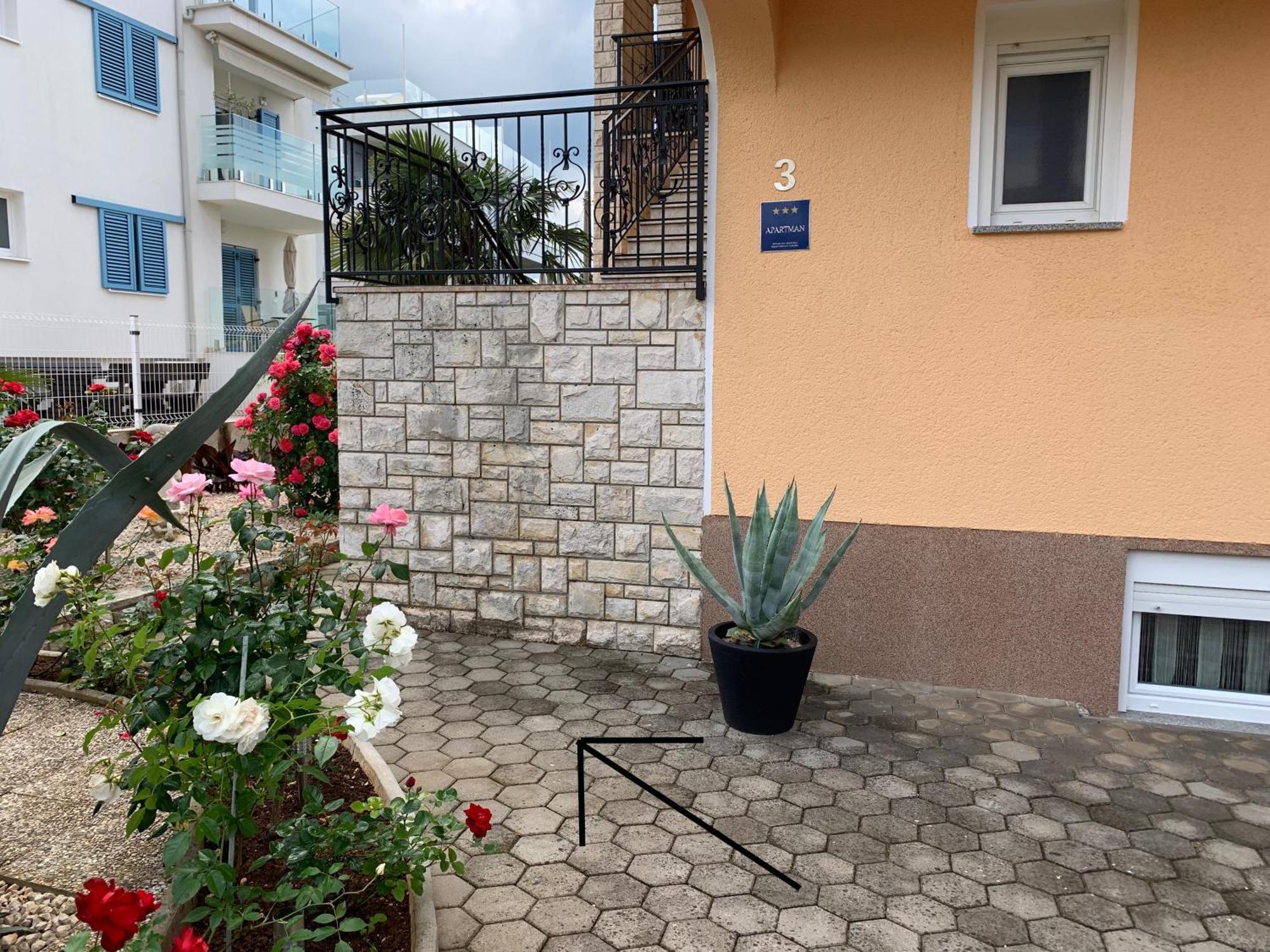Apartments Kivi Novigrad Istria Eksteriør bilde