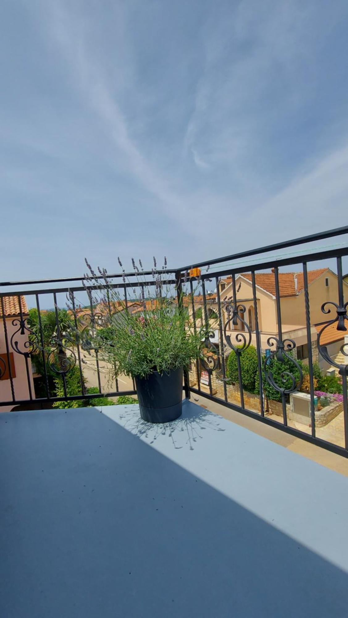 Apartments Kivi Novigrad Istria Eksteriør bilde