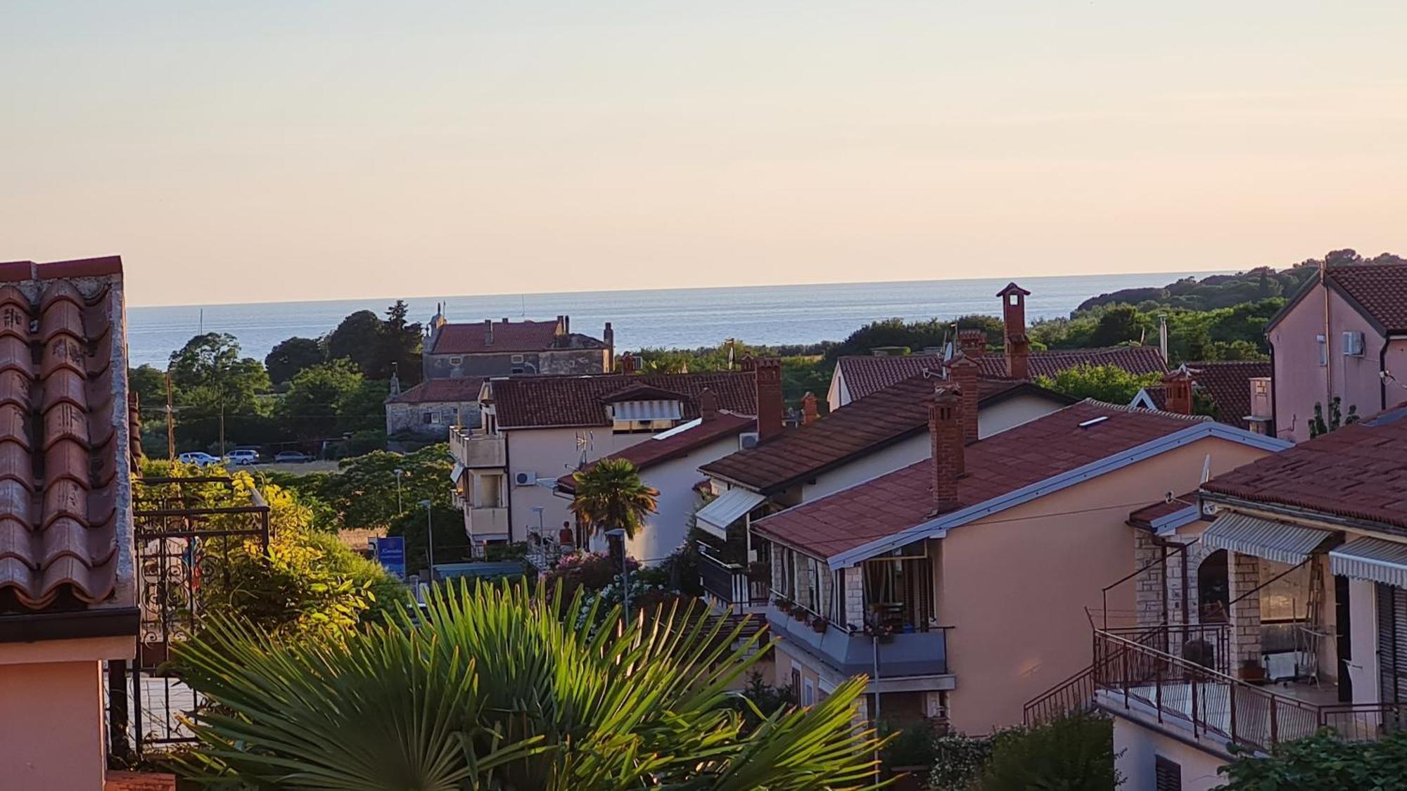 Apartments Kivi Novigrad Istria Eksteriør bilde
